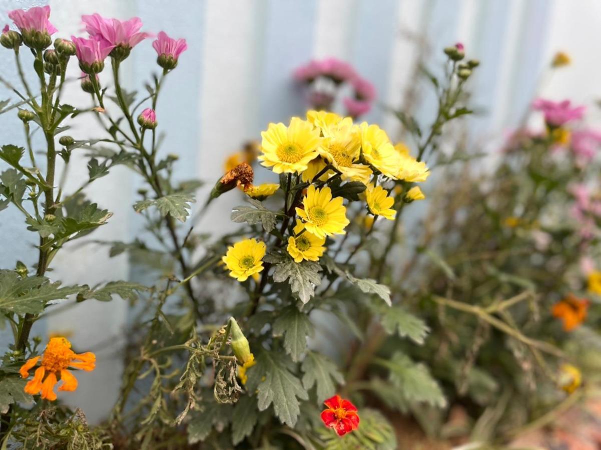 An Bungalow - Mai Chau Villa Hòa Bình Eksteriør billede