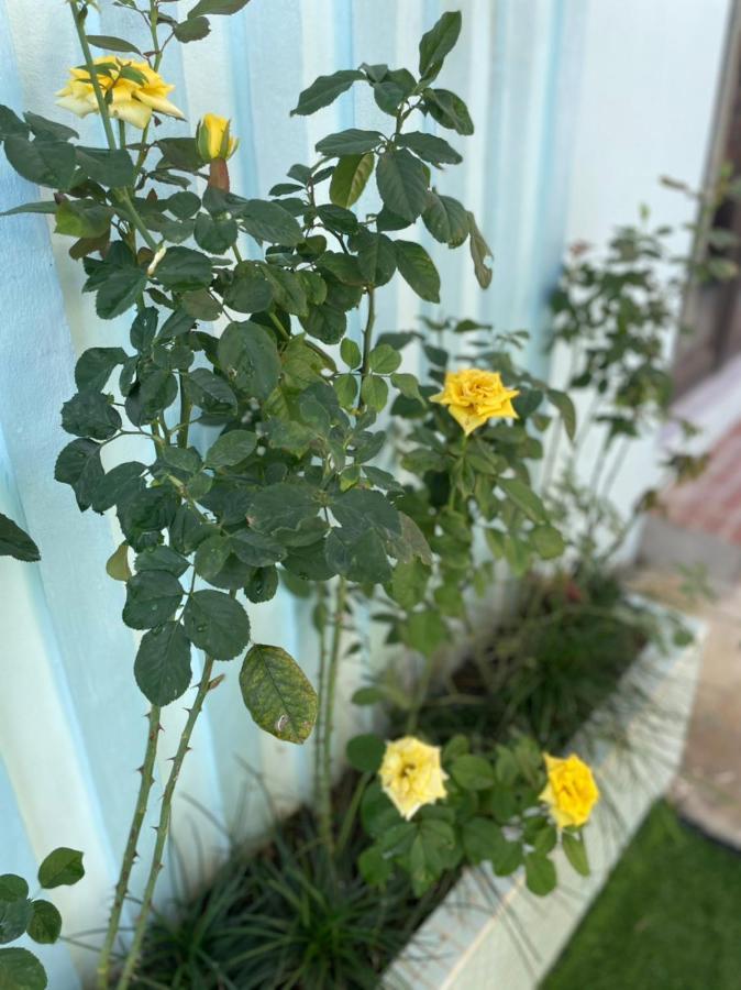 An Bungalow - Mai Chau Villa Hòa Bình Eksteriør billede